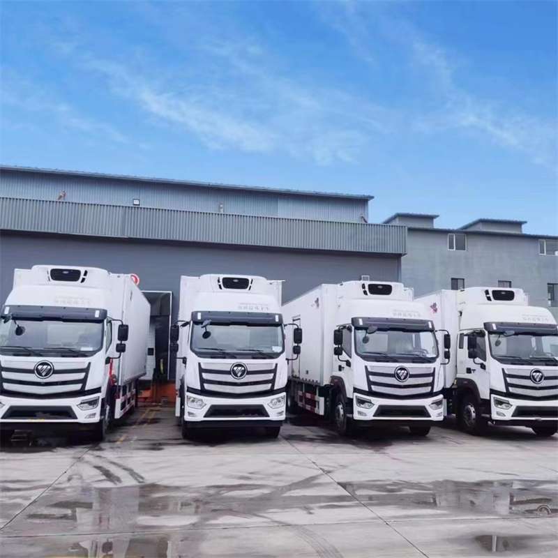 湛江市新龙县进仓物流：多元专线直达运输探秘